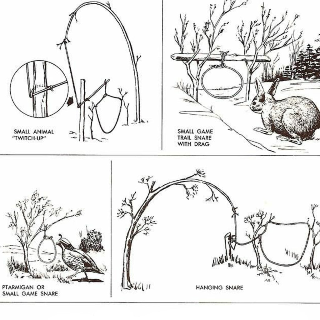 snare wire illustration