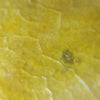 Image of leaf